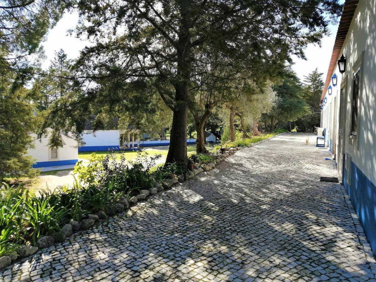 산타렘 Quinta Dos Anjos 게스트하우스 외부 사진
